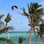 kites on bright sky and sea background